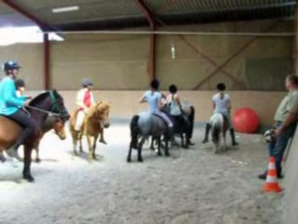 horse ball poneys