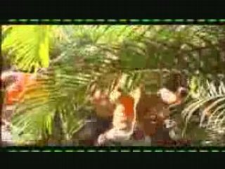 Koffi olomidé - bord ezanga kombo lo - lo - lo