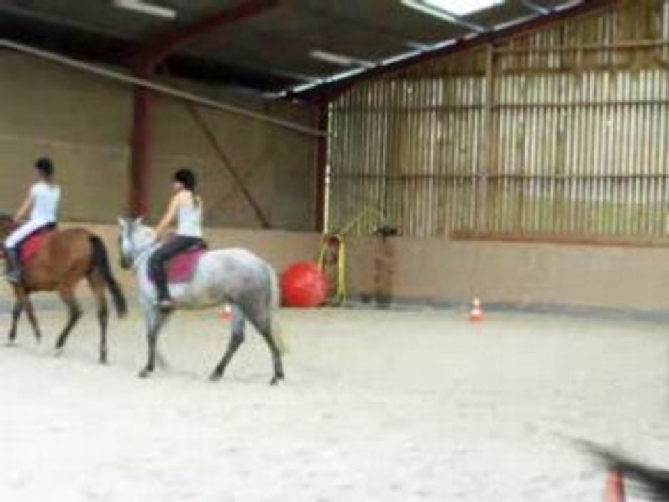 trot enlevé et direction