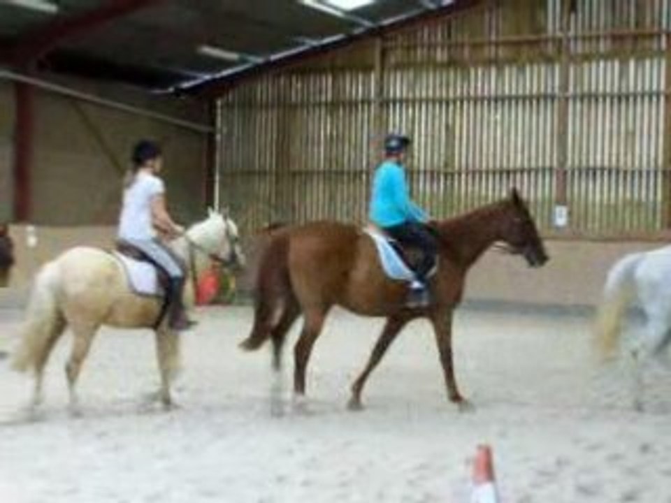 trot enlevé et direction