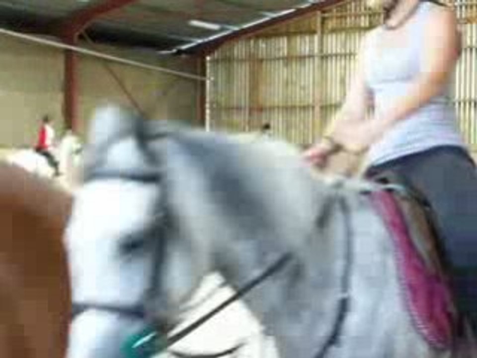 trot enlevé et direction