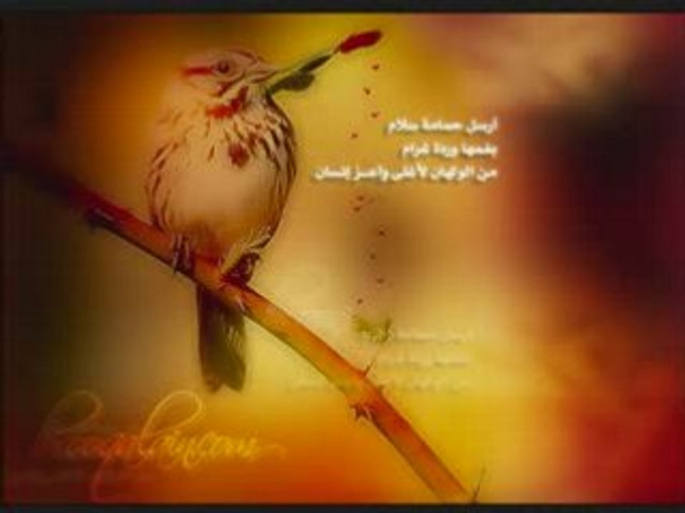 رد علية ياحبيبي