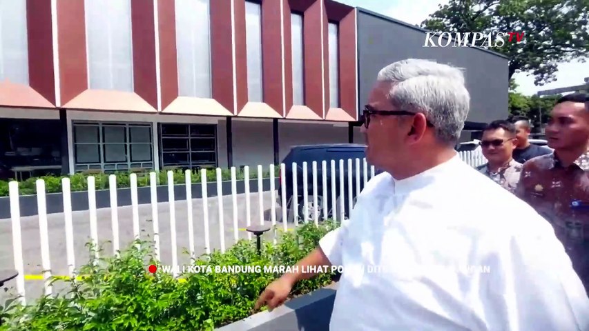 Viral Video Walkot Bandung Farhan Murka Pohon Dipotong demi Videotron, Ini Penjelasannya | ROSI