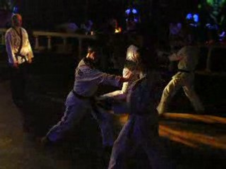 2008_06_28_colletot_laplak_arts-martiaux_videos (05)