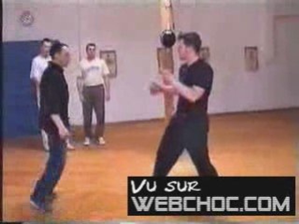 new bruce lee