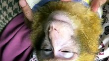uper_video_1790273079167217