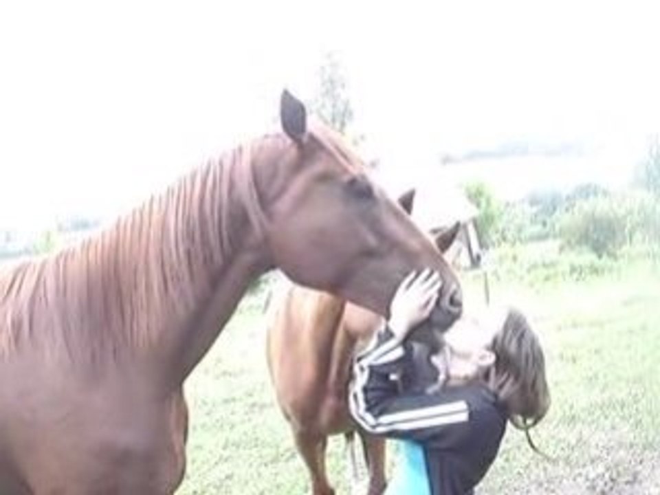 MOV00207