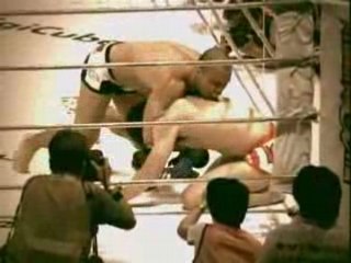 Special wanderlei silva cd1.00