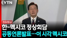 한-멕시코 정상회담 공동언론발표...이 시각 멕시코 [현장영상+] / YTN