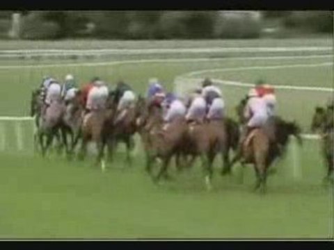 Give Thanks Stakes (Gr3) 080808 (Unsung Heroine)