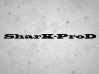 Shark : Intro