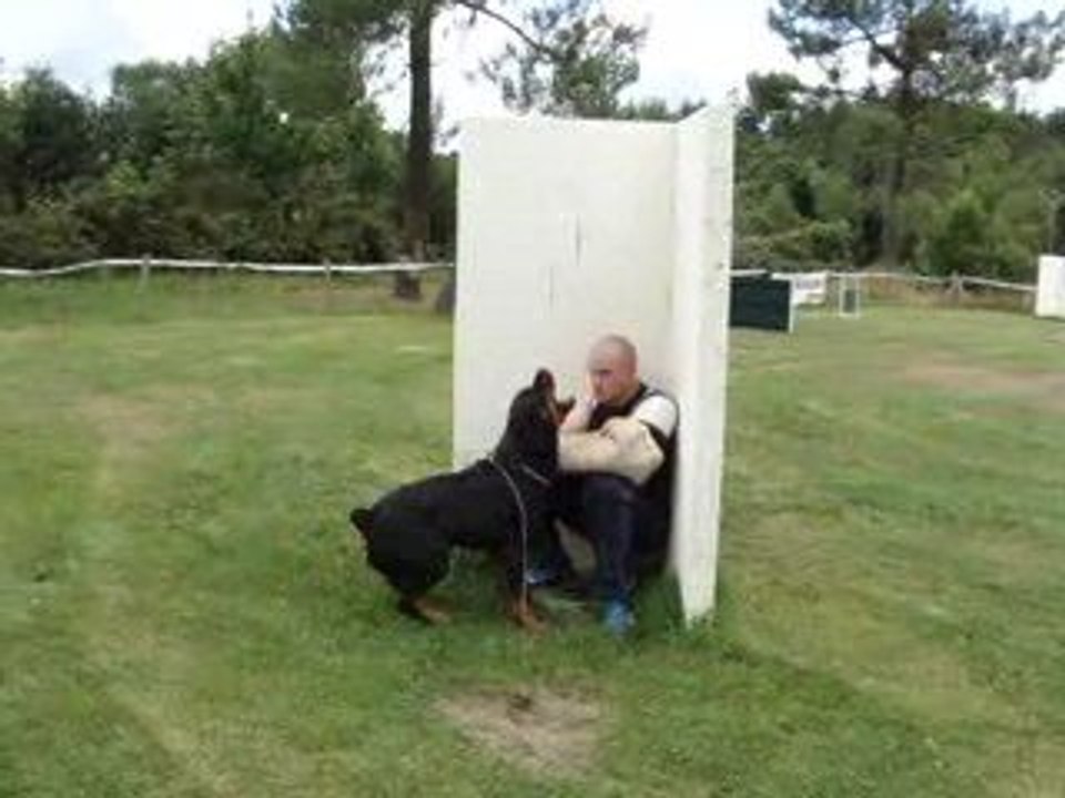 entrainement rci aboiement à la cachette