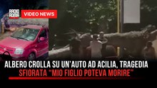ALBERO CROLLA SU UN’AUTO AD ACILIA, TRAGEDIA SFIORATA “MIO FIGLIO POTEVA MORIRE”