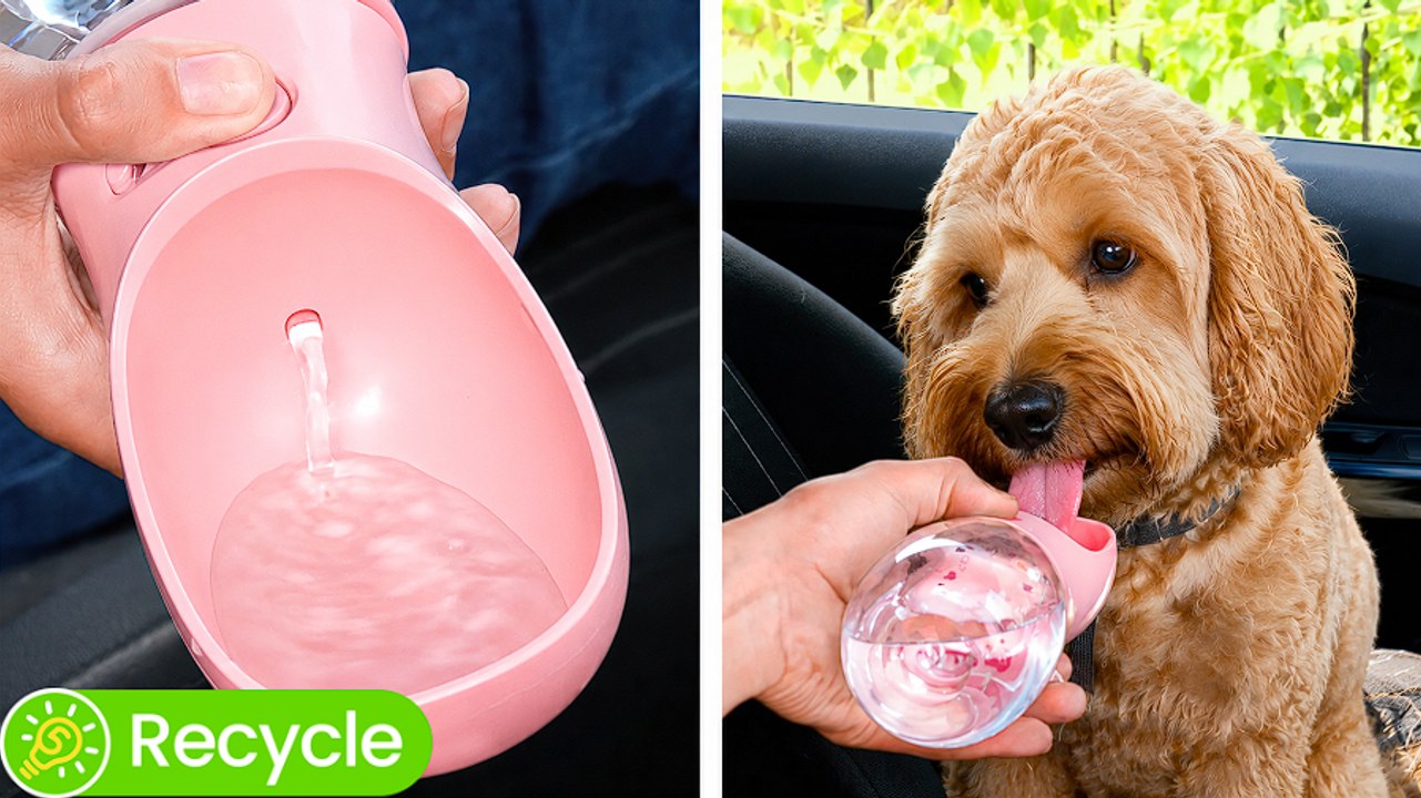 Brilliant Dog Gadgets vs Cute Cat Gear: Clever Pet Hacks for Easier Living