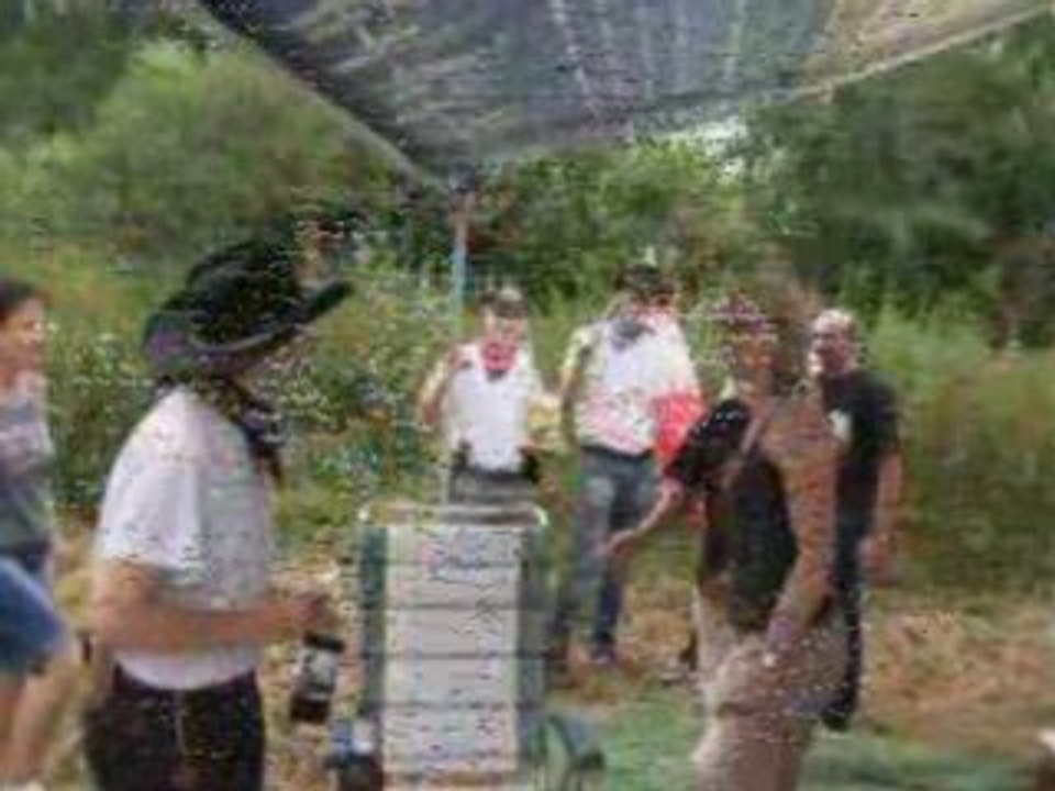 Pow Wow Steinbourg - Dalton's Of Elsass