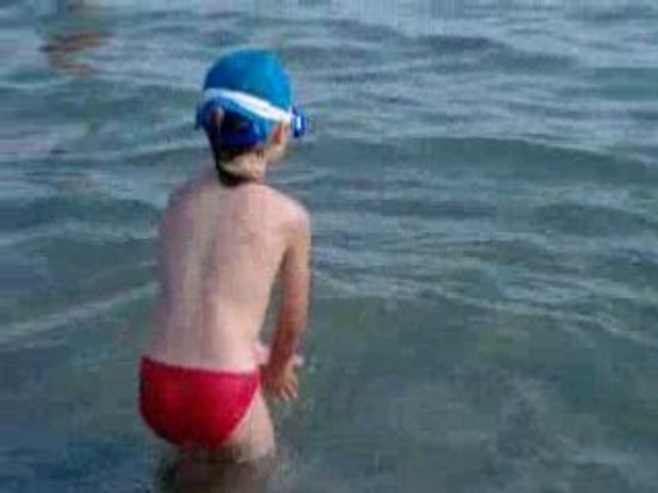 plongeon
