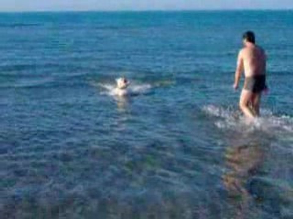 de l'eau