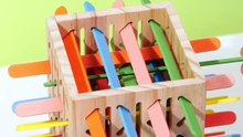Wooden Montessori Toys for Sorting & Fine Motor Skills