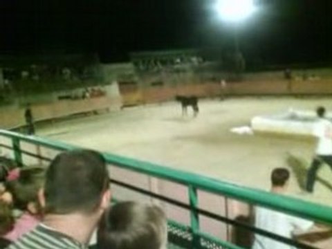 Taureau Piscine De Gigean