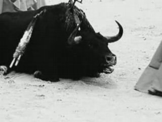 Spot Anti-Corrida N°1 (Renaud)