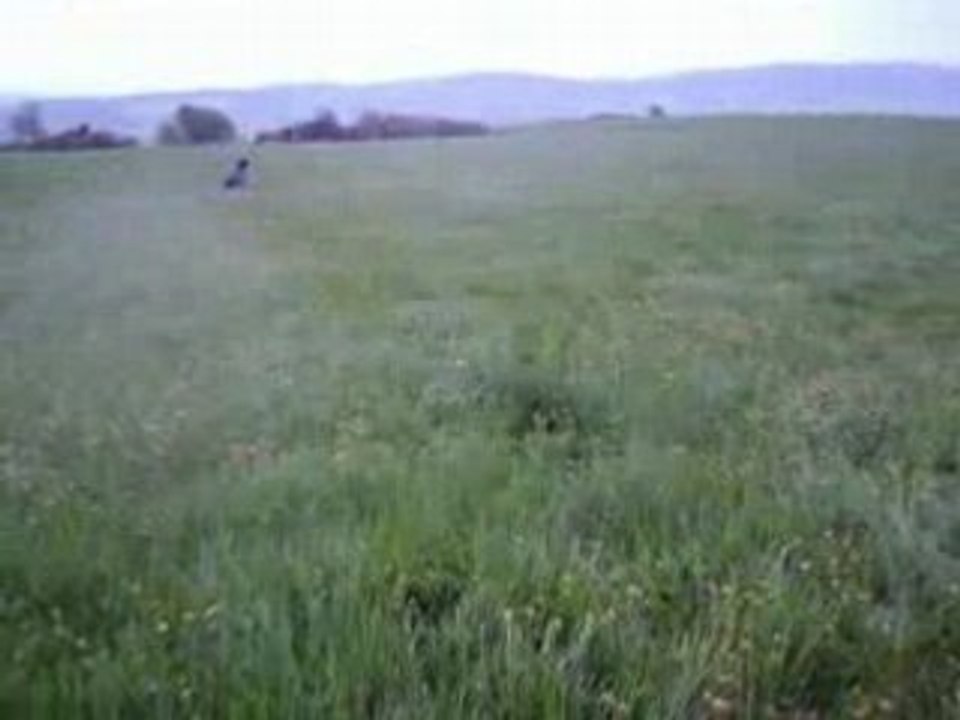 voile de traction kite axel