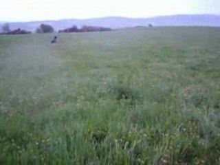 voile de traction kite axel