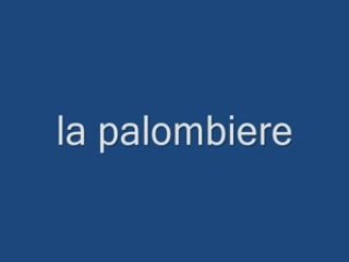 La palombiere