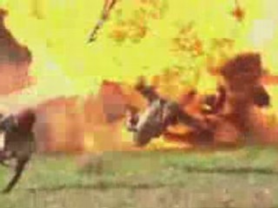 Fox Fall New Promo 2008