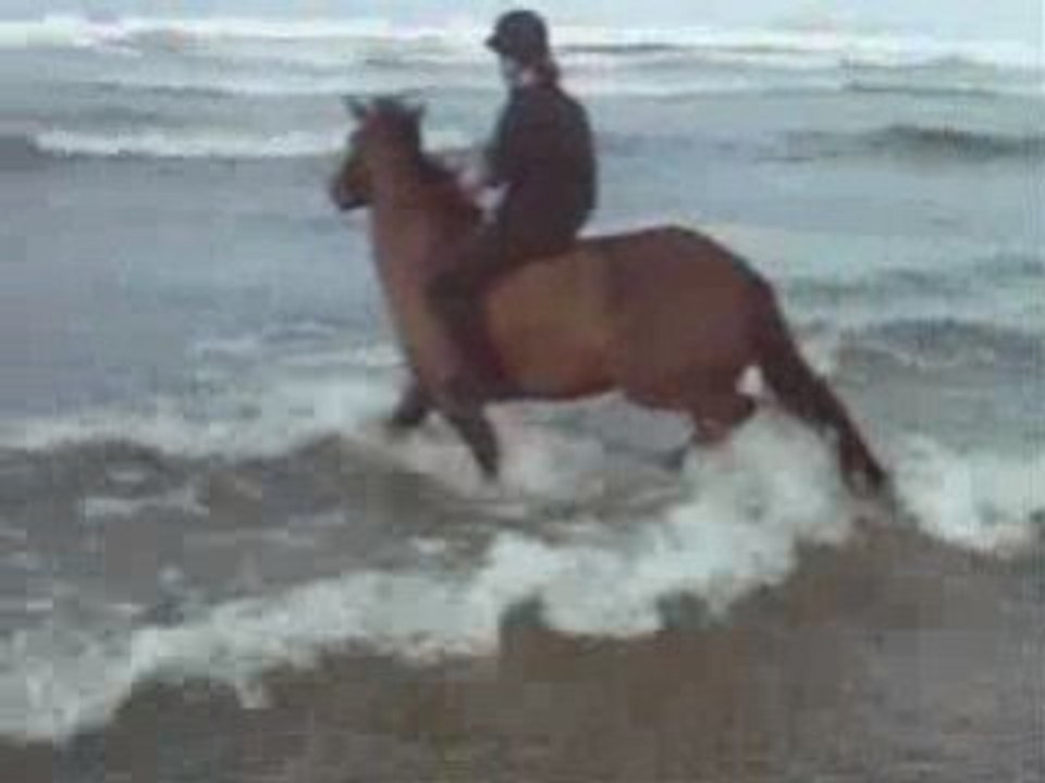 Quiberon été 2008