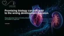 Corelia Bio HETS™ Cardio-Renal Platform