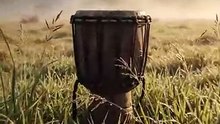 Locked in Glass_ How Africa’s Gods Were Taken to Europe