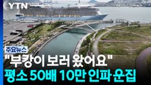 "부캉이 보러 왔어요"...평소 50배 10만 인파 운집 / YTN