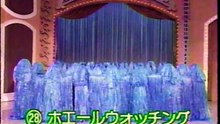 45回28番 ホエールウォッチング