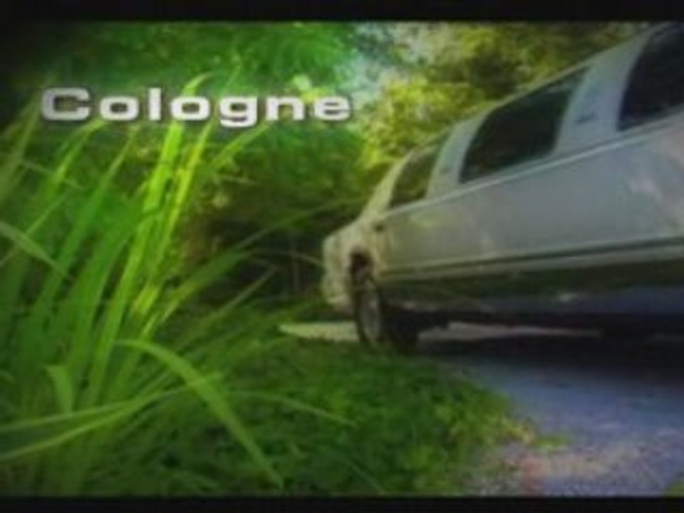 Vortexity - socialsuccess