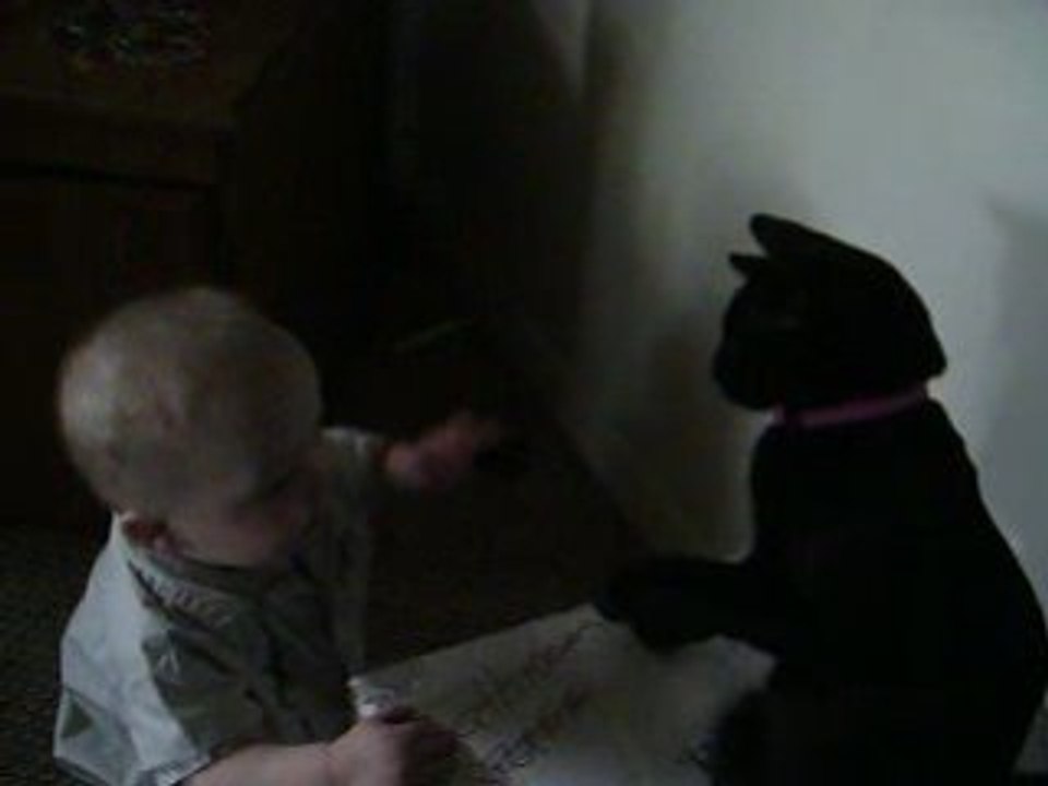 black kitty vs Dante