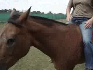 COMPLICITE AVEC JEDI 3