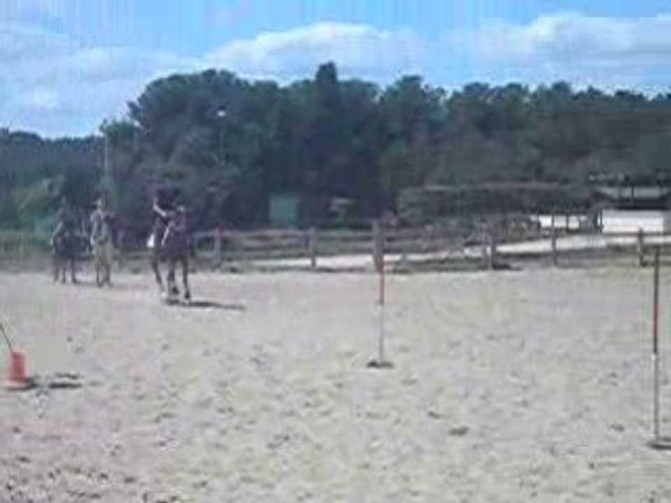 poney games jeu des cartons