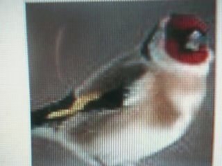 Ammar ezzahi un maitre du mondolle smeralda et el meqnine