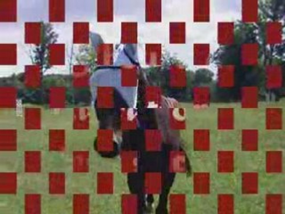 Retour du pré