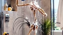 This Rooster Just Had the Most Luxurious Shower 😂🐓🚿 _funnyanimals  _aianimals  _rooster  _animalcomedy