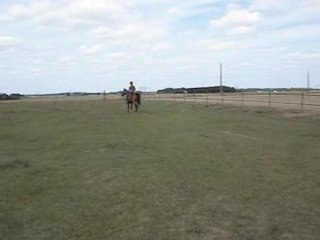 COMPLICITE AVEC JEDI 2