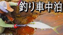 磯で連発した青物の強烈な引きと大物バラシ