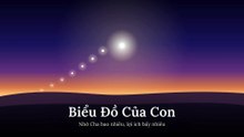 Biểu Đồ Của Con
