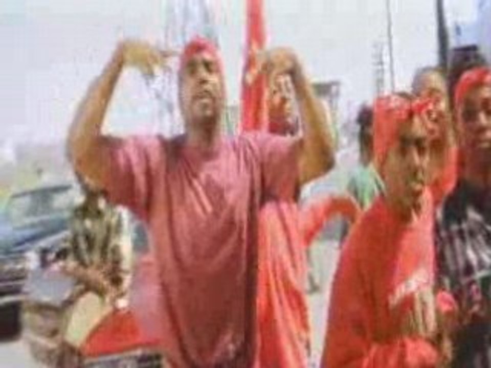 Bloods_and_crips-gs_and_locs