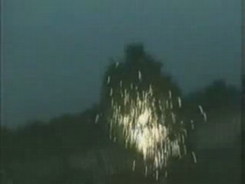 Lightning Strikes Tree- Up Close!