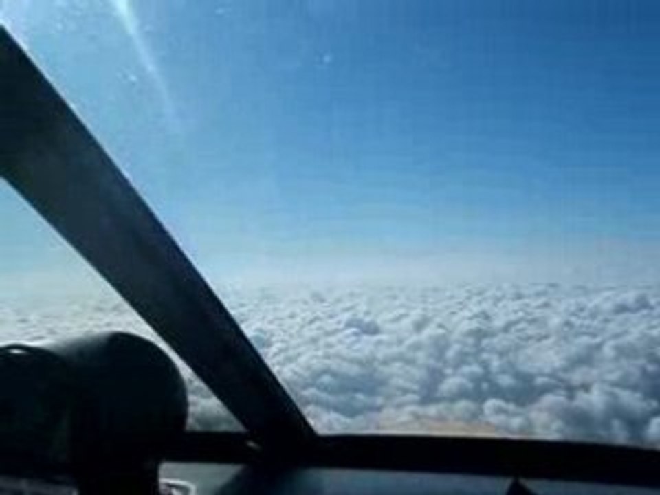 vol au dessus d'un nid de coucou