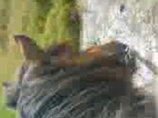 Cascade dans la riviere ^^