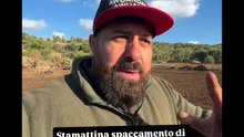 Michele monopoli stamattina spaccamento di perchie