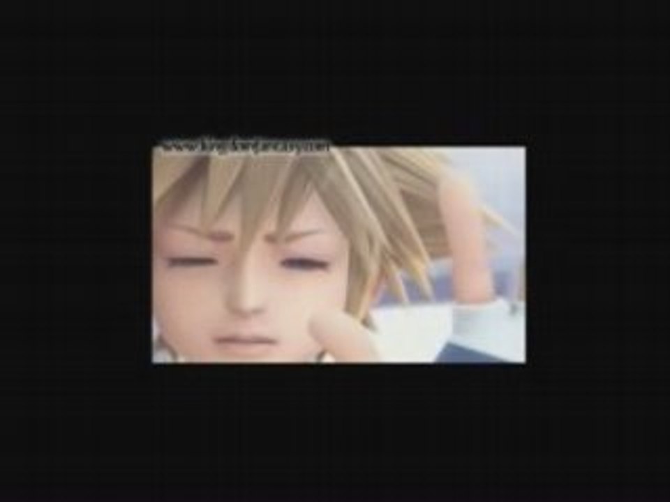 kingdom hearts-a beautiful lie