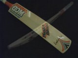 Cricket Bats, BDM Cricket - BDM Master Blaster